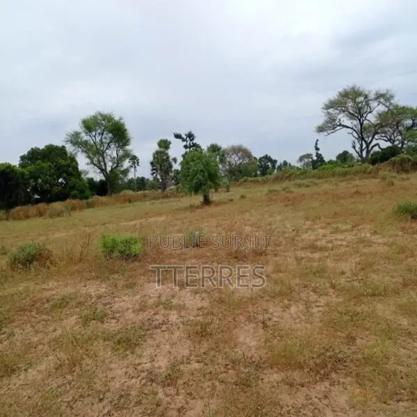 Terrain Agricole De 4.300 M2 Vers Tassette – Thiès