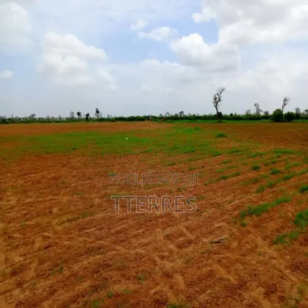 Terrain Agricole De 1,27 Hectare Vers Notto Diobass – Thiès