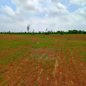 Terrain Agricole De 1,27 Hectare Vers Notto Diobass – Thiès
