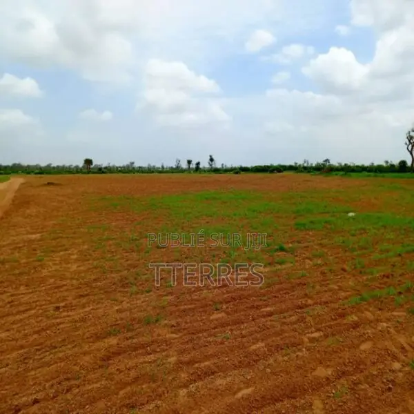 Terrain Agricole De 1,27 Hectare Vers Notto Diobass – Thiès