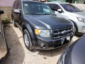Ford Escape 2012 Gris