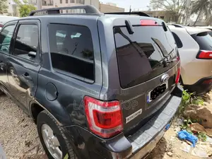Ford Escape 2012 Gris