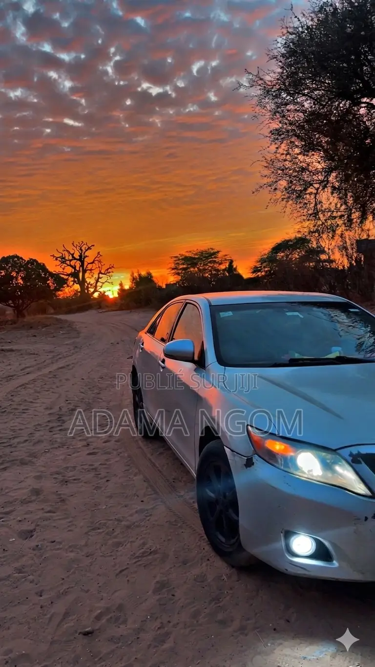 Toyota Camry LE 4dr Sedan (2.5L 4cyl 6AM) 2010 Gris