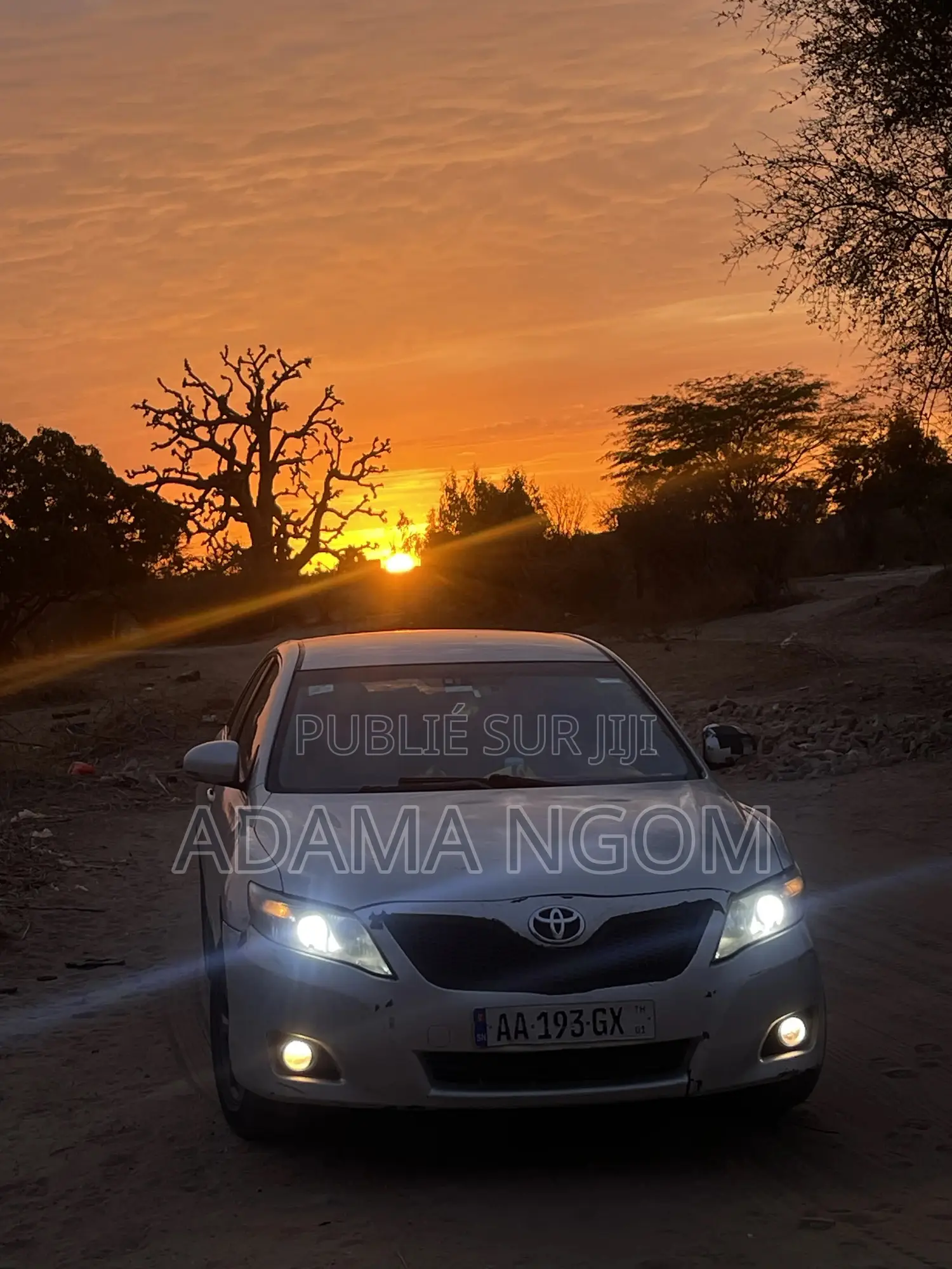 Toyota Camry LE 4dr Sedan (2.5L 4cyl 6AM) 2010 Gris