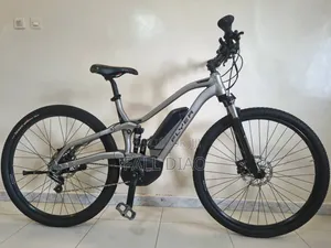 Autre 2023 Gris