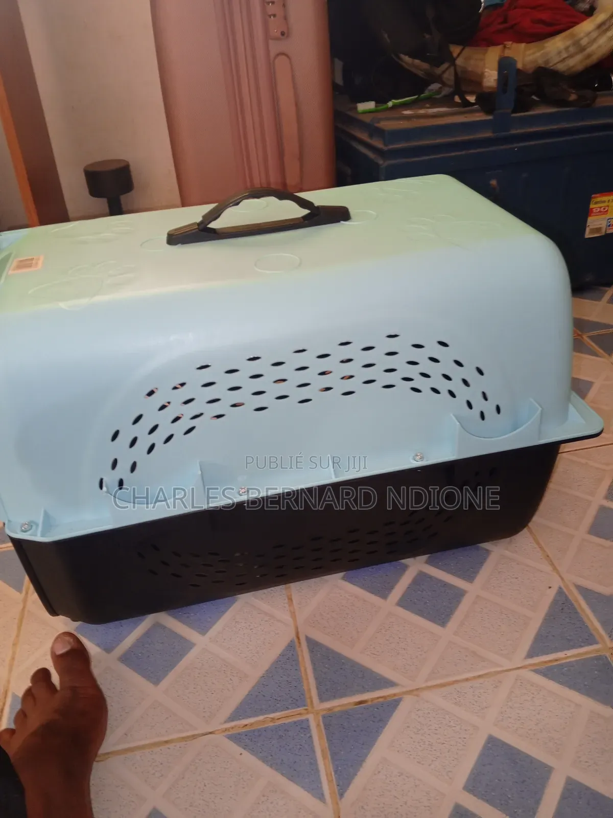 Cage De Transport