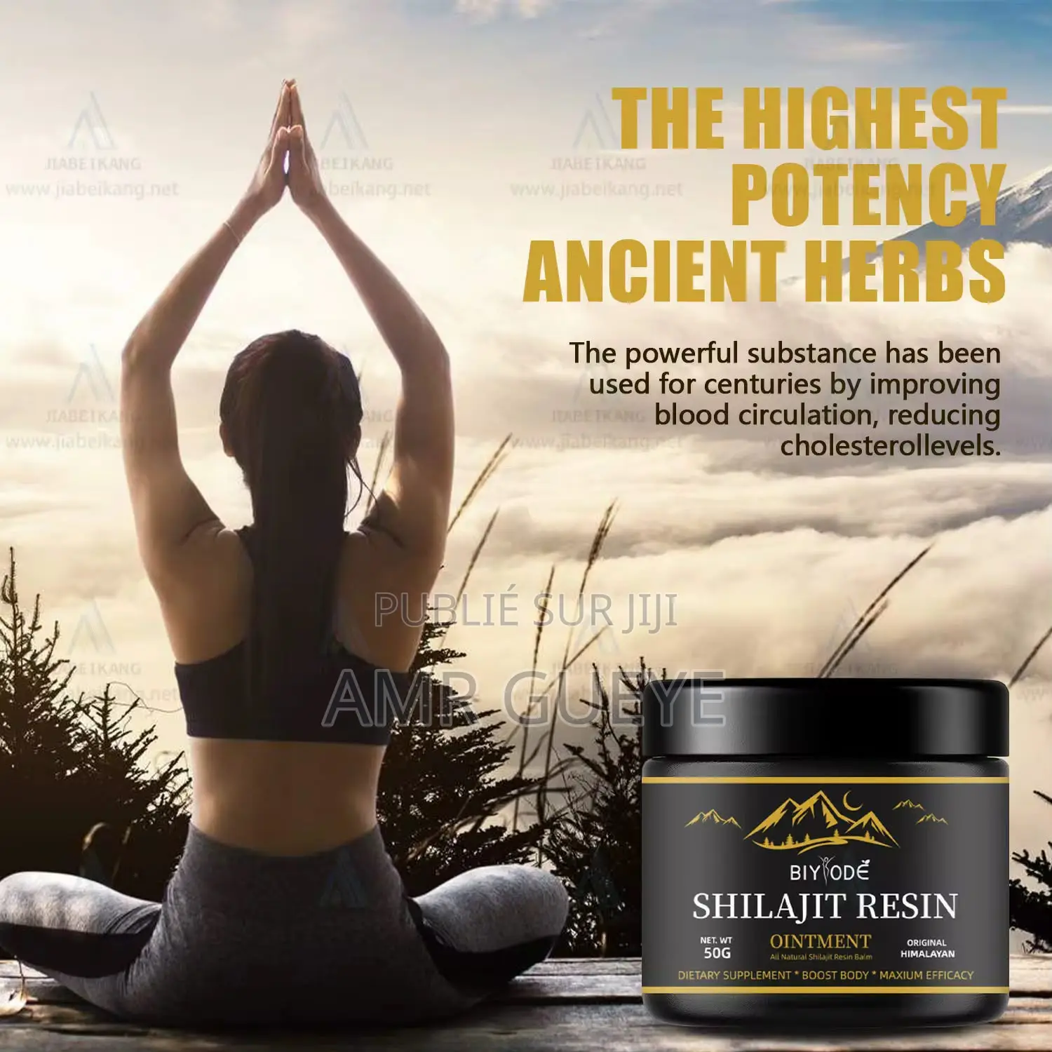 Shilajit Resin