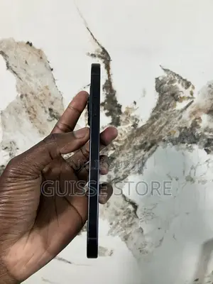 Apple iPhone 16 Pro Max 256 GB Gris