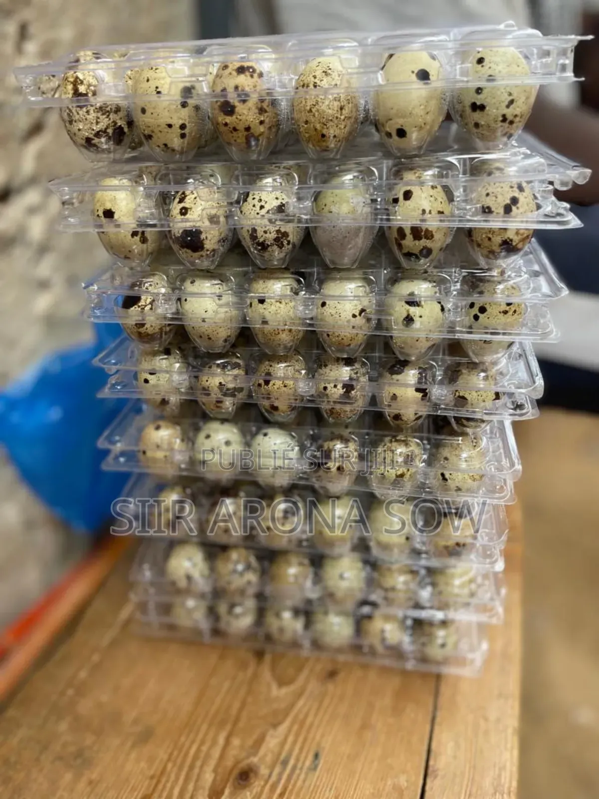Oeufs De Cailles Fécondé Pour Incubation