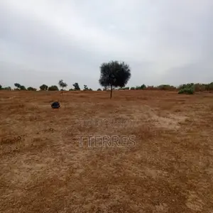 Terrain Agricole De 7783 M2 Vers Tassette – Thiès