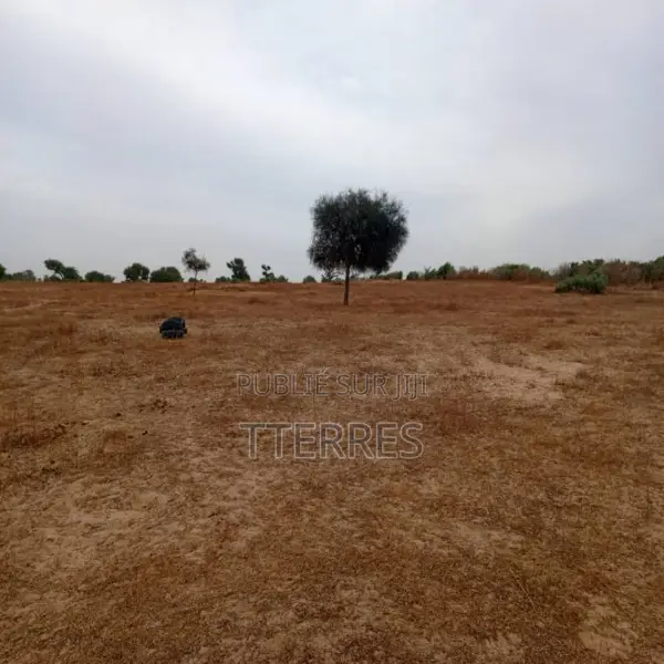 Terrain Agricole De 7783 M2 Vers Tassette – Thiès