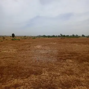 Terrain Agricole De 7783 M2 Vers Tassette – Thiès