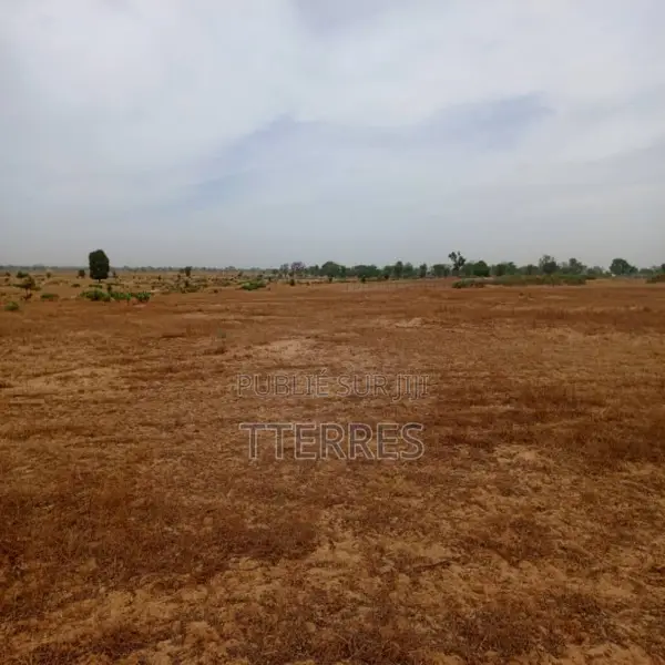 Terrain Agricole De 7783 M2 Vers Tassette – Thiès