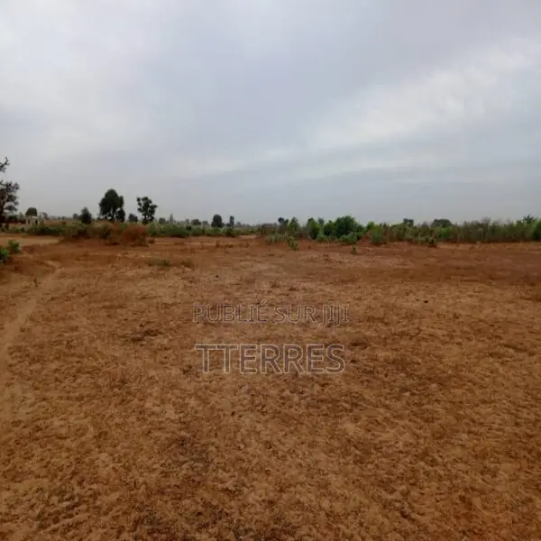 Terrain Agricole De 7783 M2 Vers Tassette – Thiès