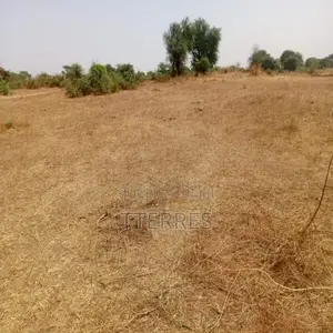 2,34 Hectares Stratégique Dans La Zone Horticole De Notto Diobass