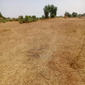2,34 Hectares Stratégique Dans La Zone Horticole De Notto Diobass