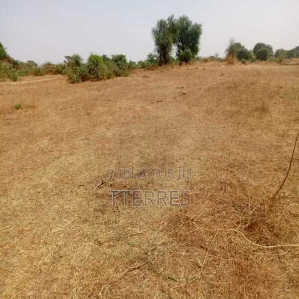 2,34 Hectares Stratégique Dans La Zone Horticole De Notto Diobass