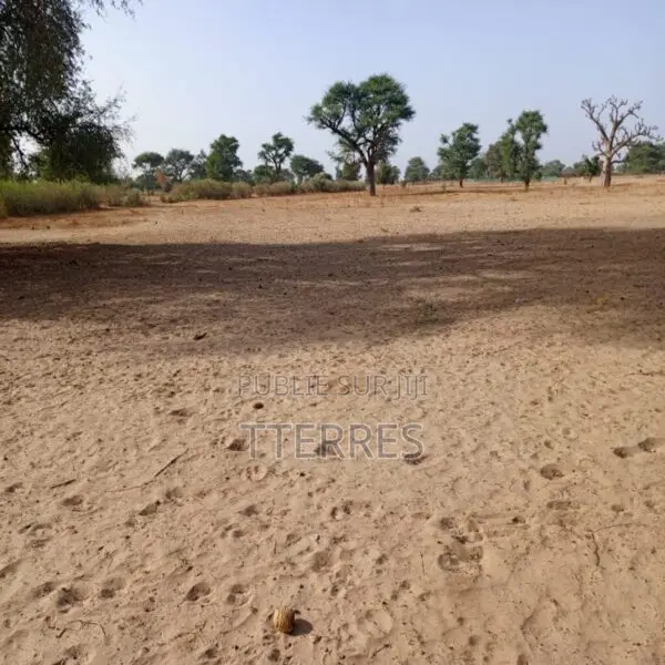 2 Hectares Stratégiques Vers Tassette – Thiès