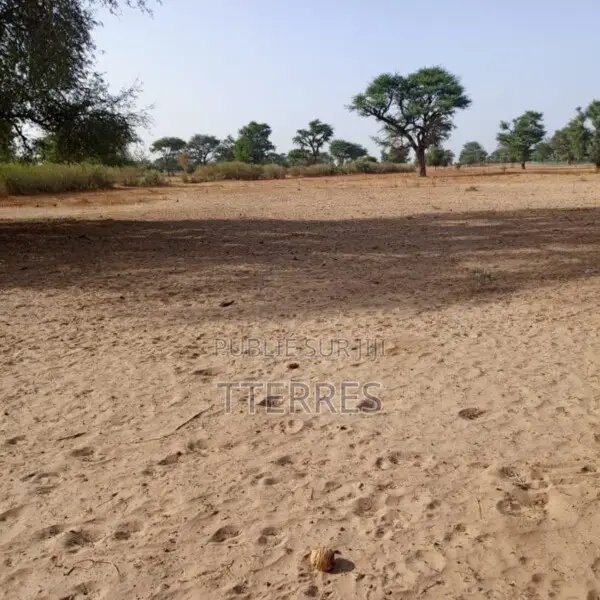 2 Hectares Stratégiques Vers Tassette – Thiès