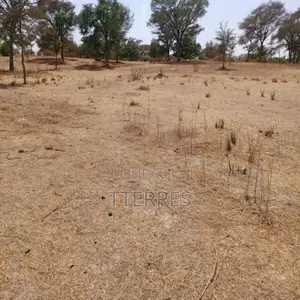 2,50 Hectares L’Emplacement Idéal Vers Tassette – Thiès