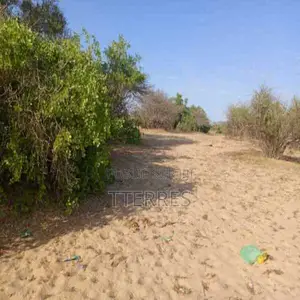 3,91 Ha Stratégiques À Diama Vers Saint Louis, Enbordure De La Route