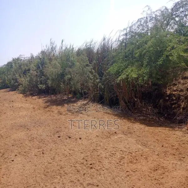 3 Hectares L’Emplacement Idéal Vers Diama – Saint-Louis