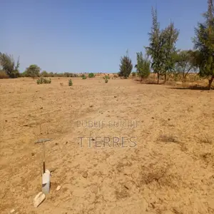 3 Hectares L’Emplacement Idéal Vers Diama – Saint-Louis