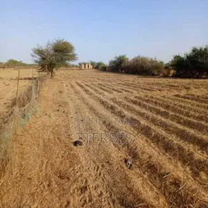 Verger De 2,55 Hectares Vers Diama – Saint – Louis