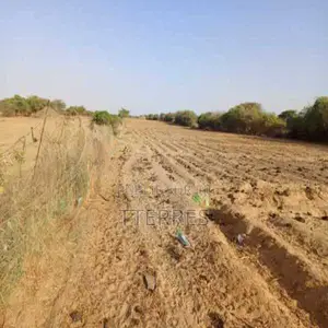 Verger De 2,55 Hectares Vers Diama – Saint – Louis