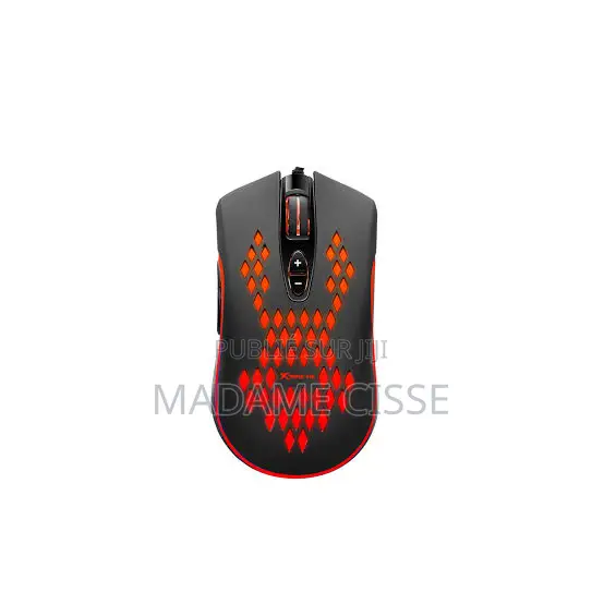 Souris Gamer