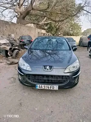 Peugeot 407 2008 Gris