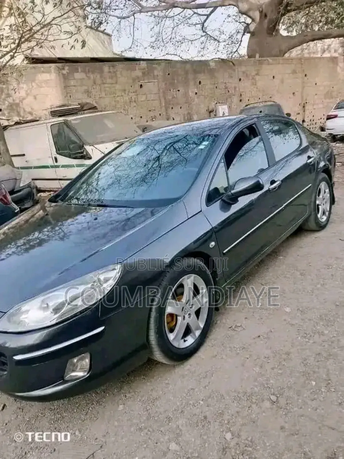Peugeot 407 2008 Gris