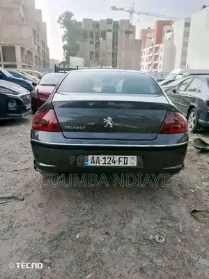 Peugeot 407 2008 Gris