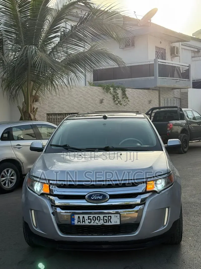 Ford Edge 2014 Gris