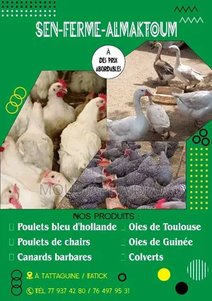 Ferme Almaktoum