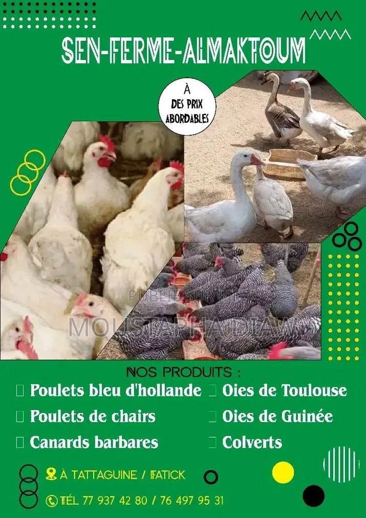 Ferme Almaktoum