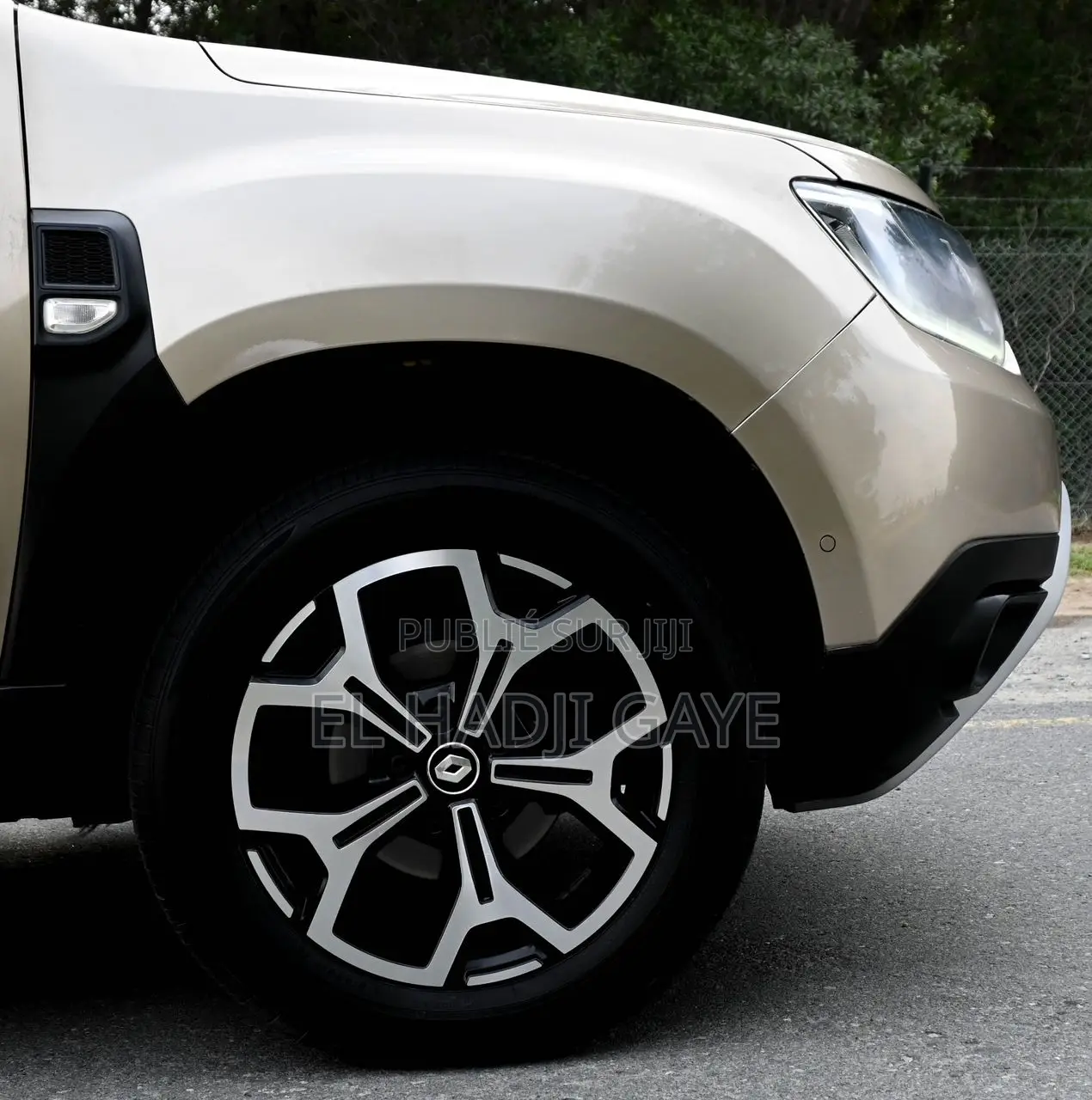 Renault Duster 2019 Beige