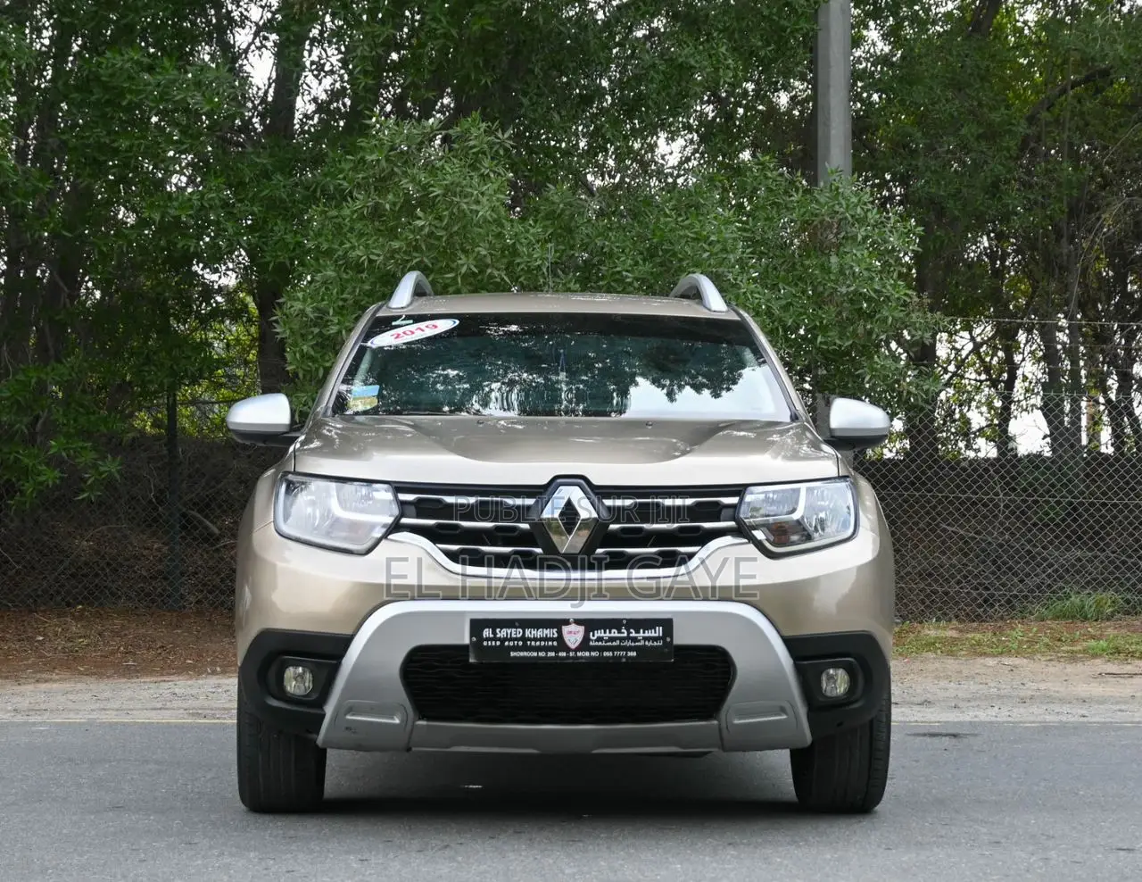 Renault Duster 2019 Beige