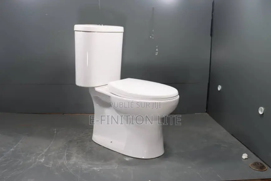 Chaise Anglaise Avec Douchette