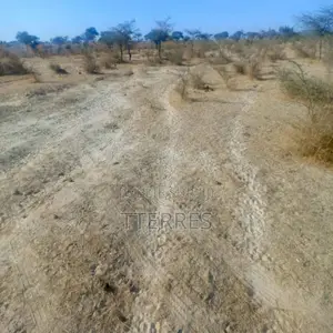 Terrain Agricole De 160 Ha Idéalement Situé Vers Diama – Saint-Louis