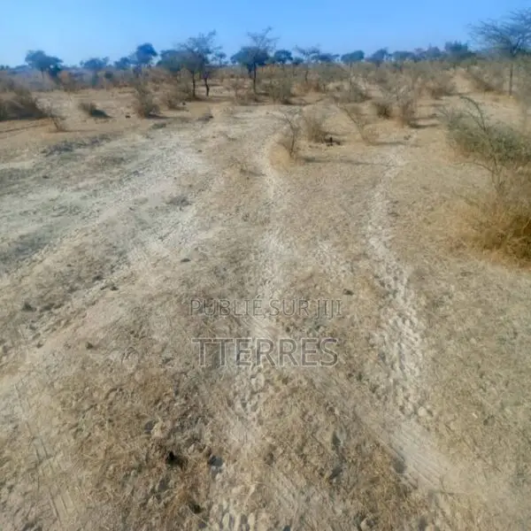 Terrain Agricole De 160 Ha Idéalement Situé Vers Diama – Saint-Louis