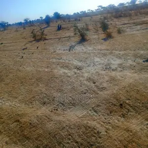 Terrain Agricole De 160 Ha Idéalement Situé Vers Diama – Saint-Louis