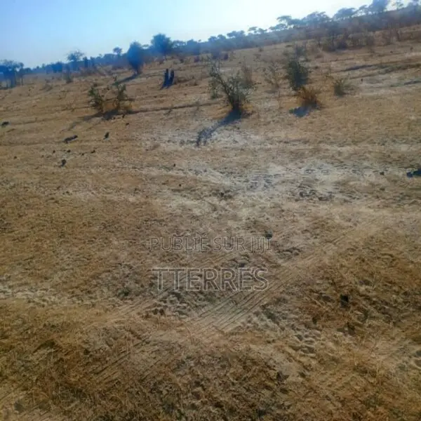 Terrain Agricole De 160 Ha Idéalement Situé Vers Diama – Saint-Louis