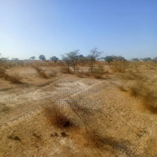 Terrain Agricole De 160 Ha Idéalement Situé Vers Diama – Saint-Louis