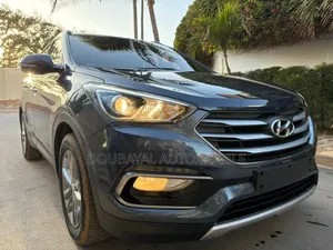 Hyundai Santa Fe 2017 Autre
