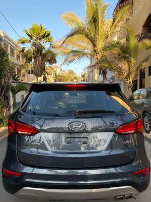 Hyundai Santa Fe 2017 Autre