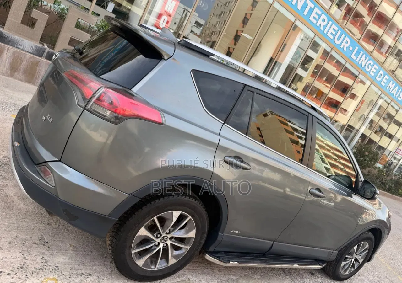 Toyota RAV4 2017 Gris