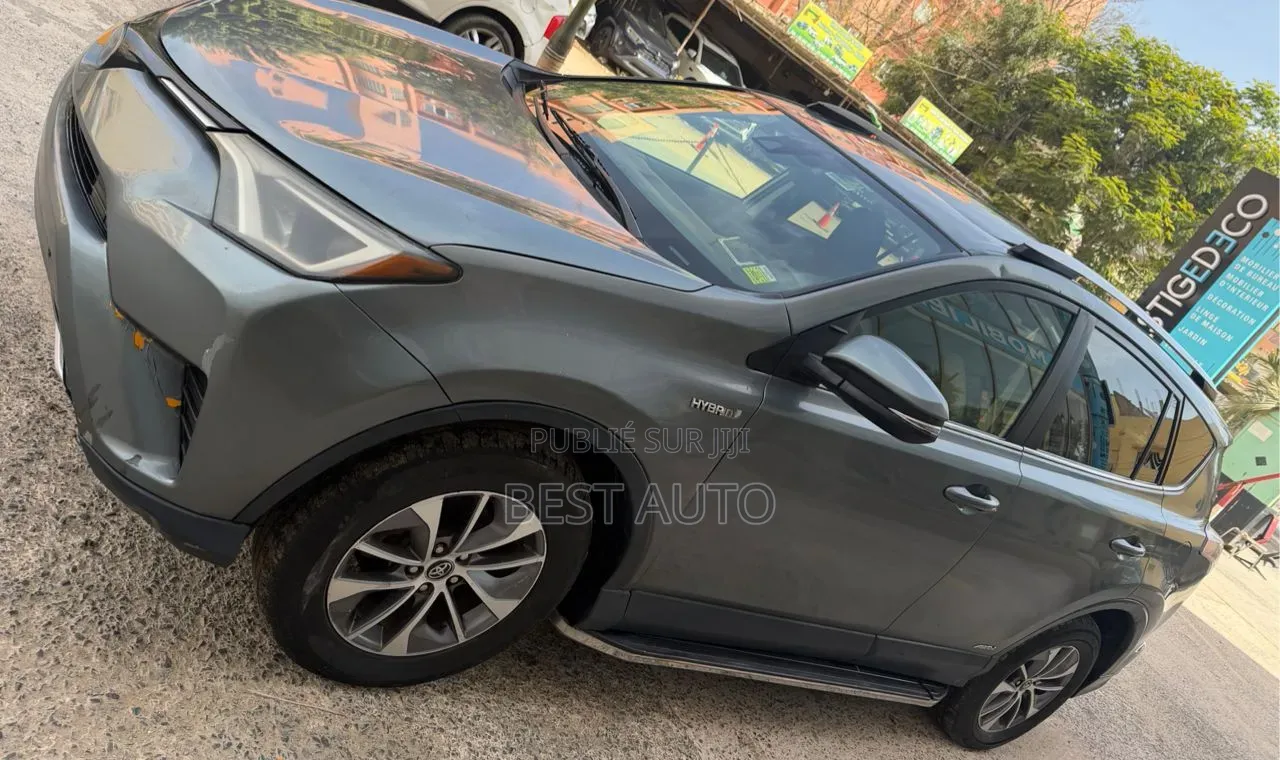 Toyota RAV4 2017 Gris