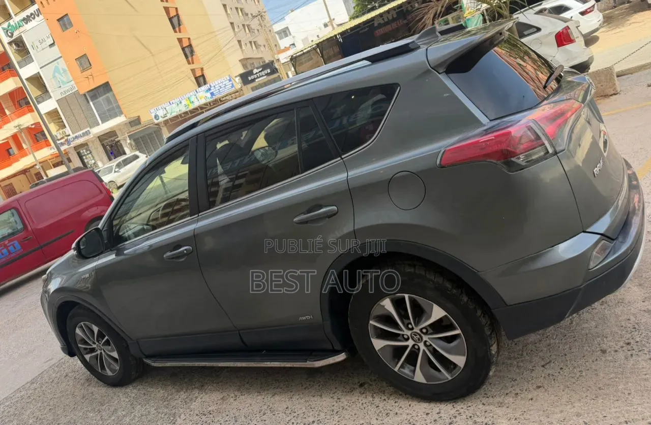Toyota RAV4 2017 Gris