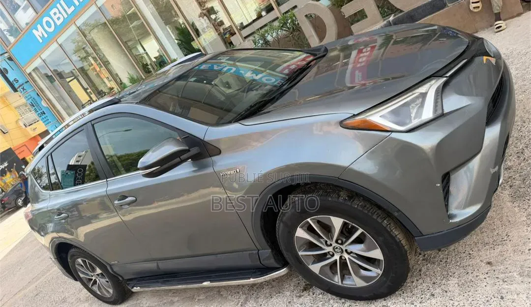 Toyota RAV4 2017 Gris